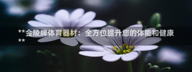尊龙 5