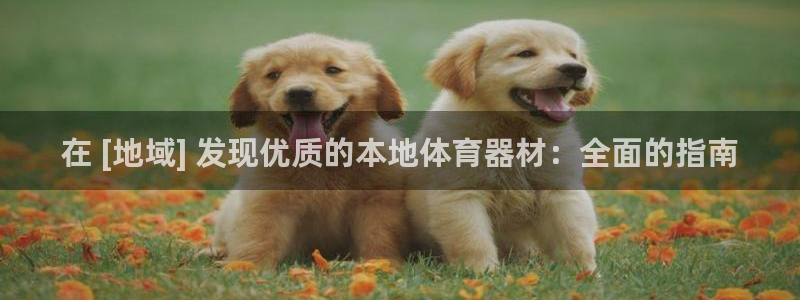 z6尊龙平台是哪里的：在 [地域] 发现优质的本地体