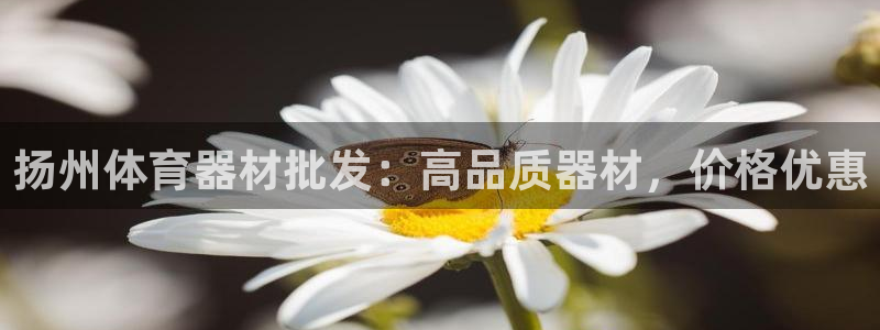 凯时在线平台官网：扬州体育器材批发：高品质器材，价格