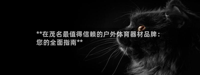 尊龙Ag：**在茂名最值得信赖的户外体育器材品牌：
