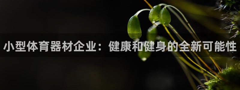 尊龙专访：小型体育器材企业：健康和健身的全新可能性