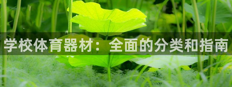 尊龙d88ag官方网站：学校体育器材：全面的分类和指