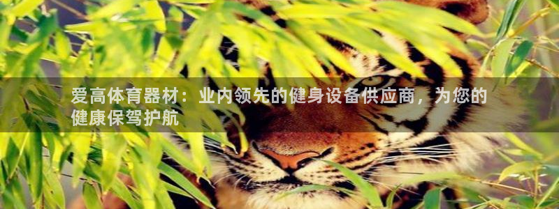 尊龙AG旗舰店：爱高体育器材：业内领先的健身设备供应