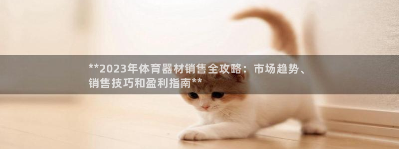 尊龙会ktv价格：**2023年体育器材销售全攻略：