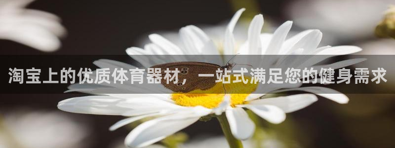 尊龙会ktv价格：淘宝上的优质体育器材，一站式满足您