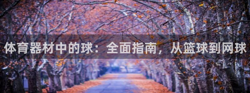 尊龙电子：体育器材中的球：全面指南，从篮球到网球