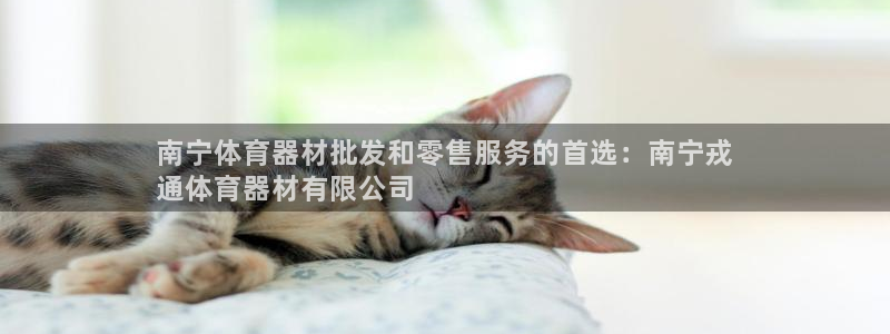 尊龙一人生就是搏：南宁体育器材批发和零售服务的首选：