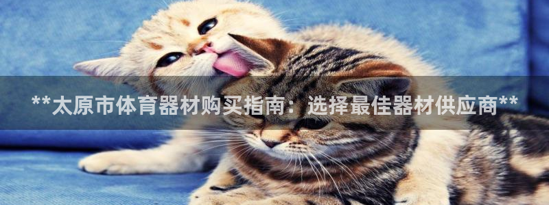 尊龙人生就是博网站：**太原市体育器材购买指南：选择