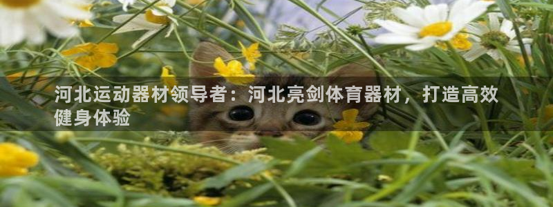 Z6尊龙凯时官方：河北运动器材领导者：河北亮剑体育器