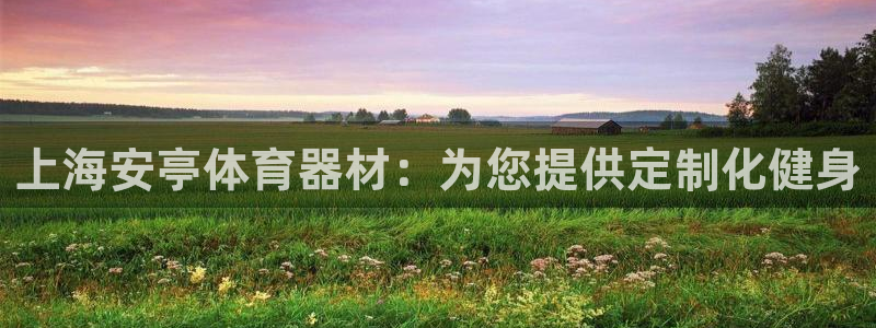 凯时ag旗舰厅：上海安亭体育器材：为您提供定制化健身
