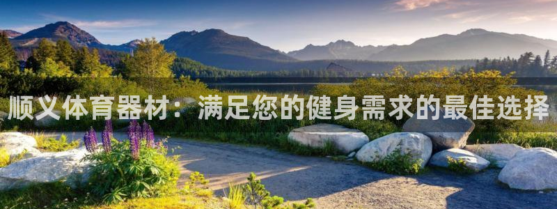 凯时国际app首页下载：顺义体育器材：满足您的健身需
