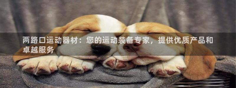 尊龙官网下载：两路口运动器材：您的运动装备专家，提供