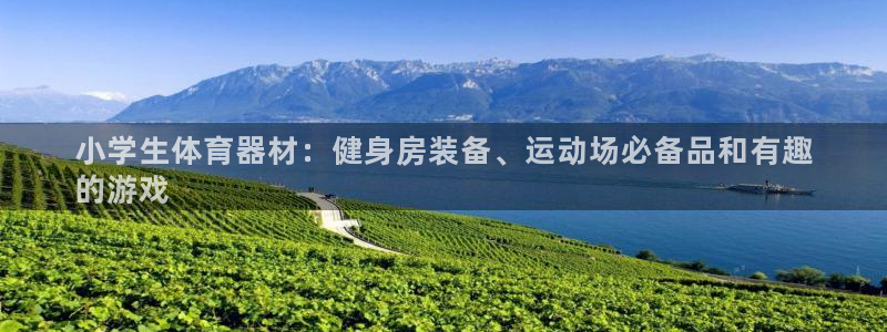 尊龙凯时的钱能退回来吗：小学生体育器材：健身房装备、