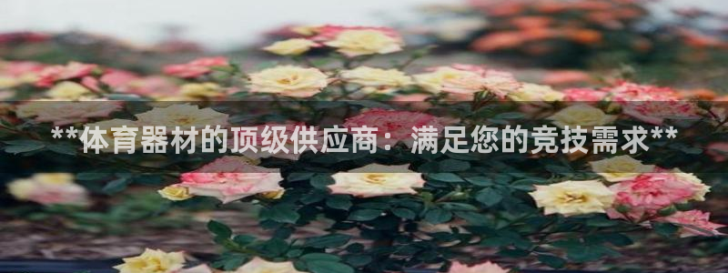 凯时旗舰厅App下载：**体育器材的顶级供应商：满足