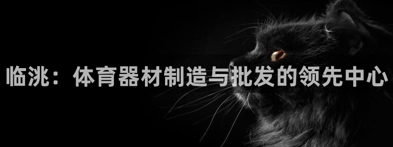 尊龙王t400：临洮：体育器材制造与批发的领先中心
