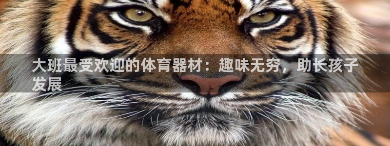 尊龙凯时的生产设备：大班最受欢迎的体育器材：趣味无穷
