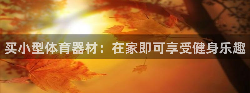 尊龙d88手机登录免费下载：买小型体育器材：在家即可