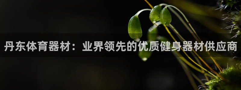 尊龙会：丹东体育器材：业界领先的优质健身器材供应商
