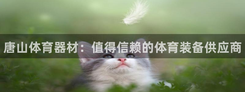 尊龙ktv怎么样：唐山体育器材：值得信赖的体育装备供