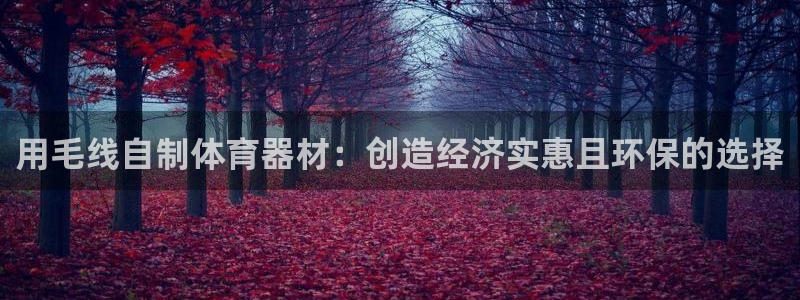 尊龙凯时平台有没有不到账的：用毛线自制体育器材：创造