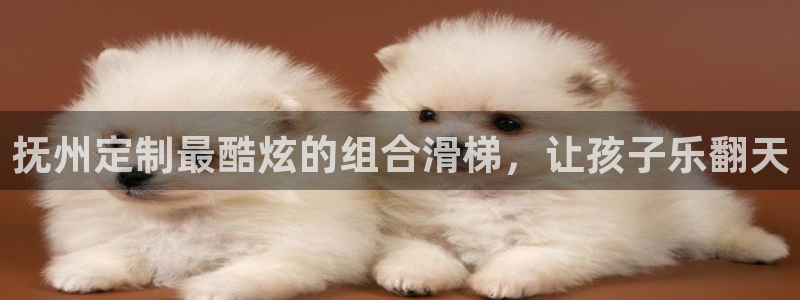 尊龙凯时怎么注册：抚州定制最酷炫的组合滑梯，让孩子乐