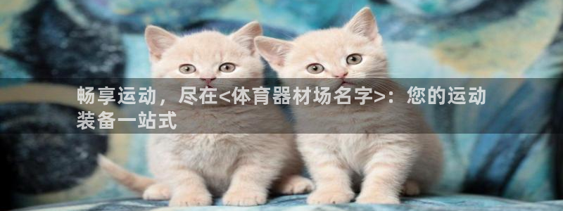 尊龙官网入口：畅享运动，尽在<体育器材场名字>：您的