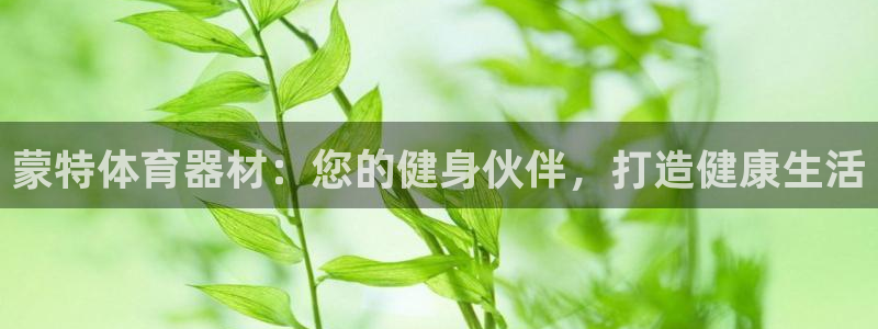 尊龙旗舰店：蒙特体育器材：您的健身伙伴，打造健康生活