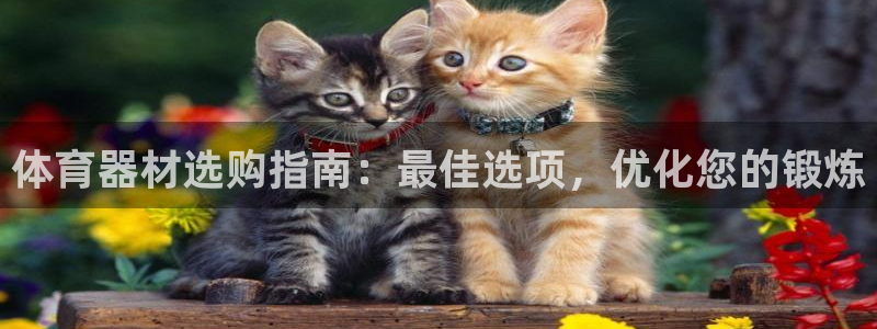尊龙凯时下载官方正版：体育器材选购指南：最佳选项，优