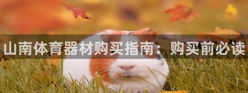 尊龙新版登录网址下载：山南体育器材购买指南：购买前必