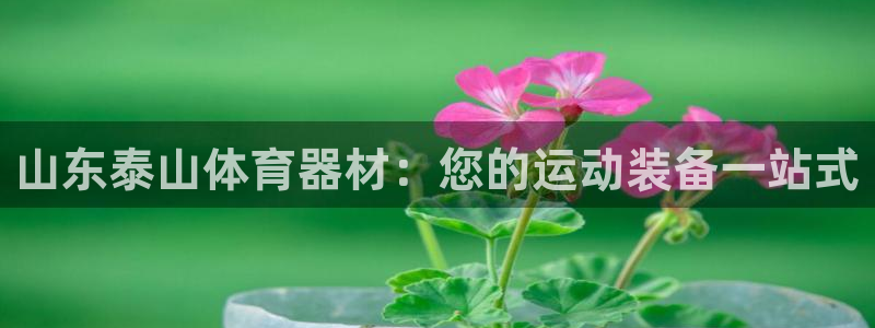 尊龙凯时人生就是博·(中国)官网首页：山东泰山体育器