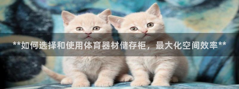 尊龙凯时登陆入口：**如何选择和使用体育器材储存柜，