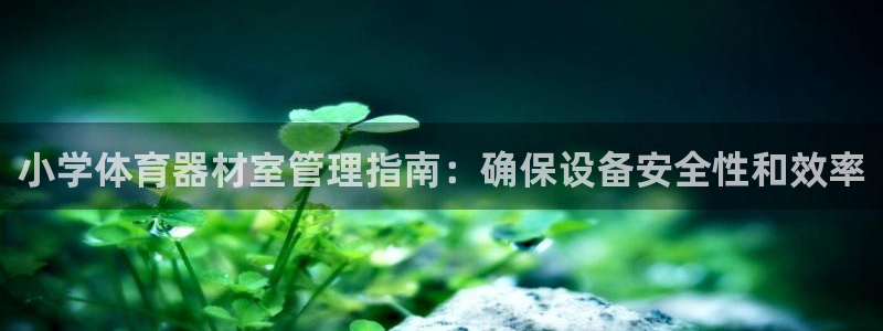 尊龙凯时下载官方正版：小学体育器材室管理指南：确保设