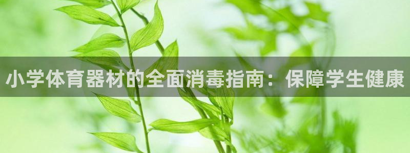 尊龙光学怎么样：小学体育器材的全面消毒指南：保障学生