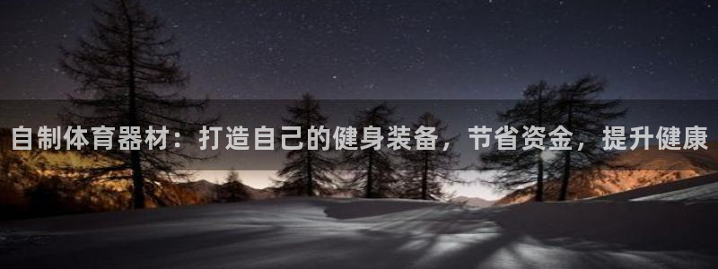 z6尊龙z6：自制体育器材：打造自己的健身装备，节省