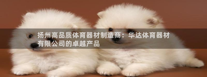 尊龙一人生就是搏：扬州高品质体育器材制造商：华达体育
