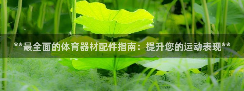 尊龙手机客户端下载：**最全面的体育器材配件指南：提
