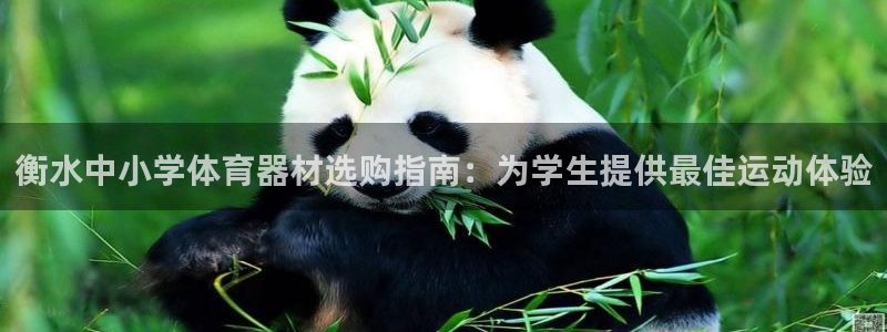 尊龙网站人生就是博：衡水中小学体育器材选购指南：为学