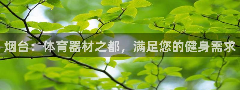 尊龙/人生就是博：烟台：体育器材之都，满足您的健身需
