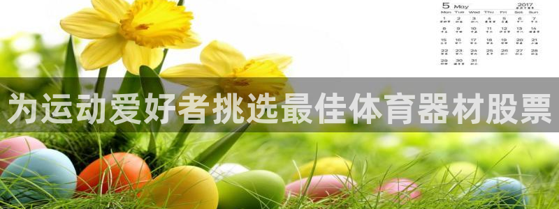 尊龙集团官网：为运动爱好者挑选最佳体育器材股票