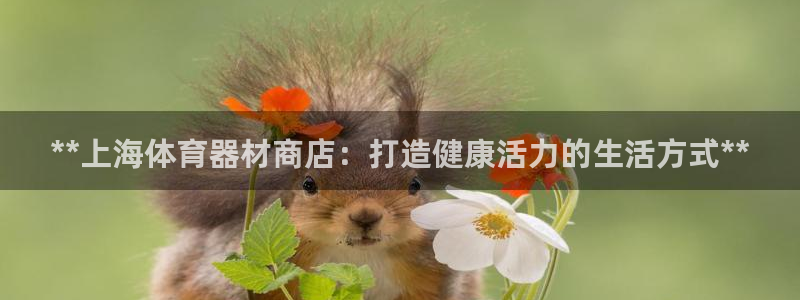 尊龙凯时推荐人：**上海体育器材商店：打造健康活力的
