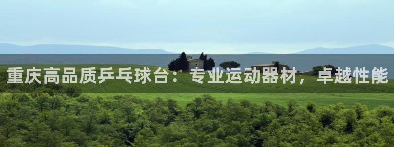 ag尊龙凯时集团：重庆高品质乒乓球台：专业运动器材，
