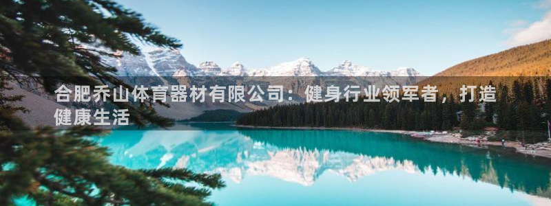 尊龙ag旗舰厅手机版：合肥乔山体育器材有限公司：健身
