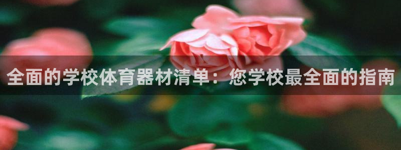 尊龙凯时 人生就是搏!：全面的学校体育器材清单：您学