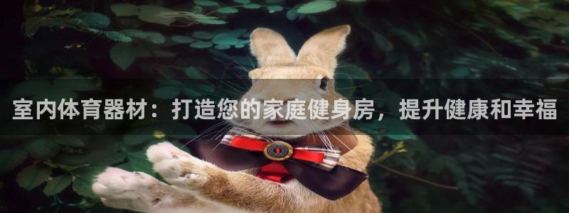尊龙凯时口碑好吗：室内体育器材：打造您的家庭健身房，