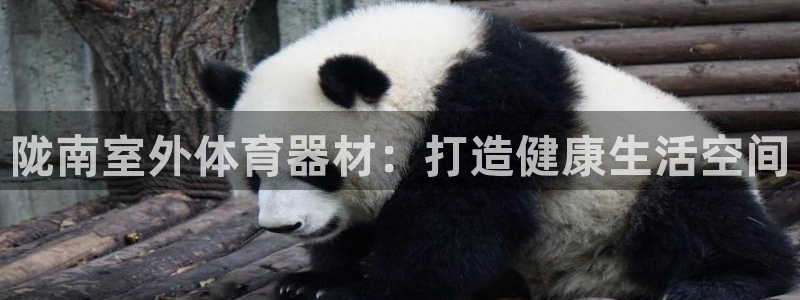 尊龙人生就是博ag：陇南室外体育器材：打造健康生活空