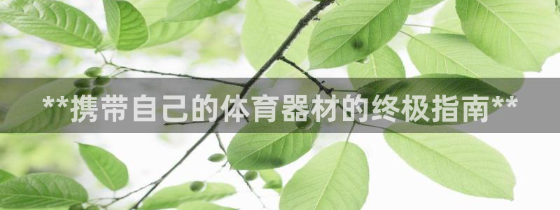 尊龙Ag：**携带自己的体育器材的终极指南**