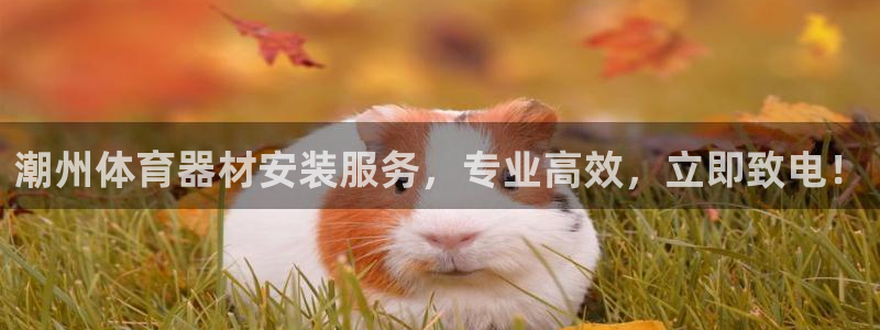 尊龙尊龙：潮州体育器材安装服务，专业高效，立即致电！
