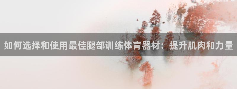 尊龙凯时ag旗舰厅官网客服：如何选择和使用最佳腿部训