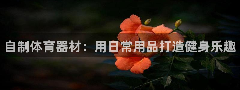凯时k88最新：自制体育器材：用日常用品打造健身乐趣