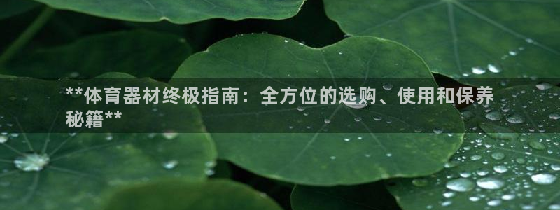 尊龙d88官网可靠送38元：**体育器材终极指南：全